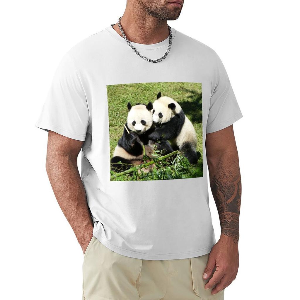 Giant Pandas Mei Xiang And Bei Bei At The National Zoo Tshirt Light Athletic Short Sleeve Tee Shirt