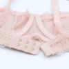Code Bra and Shorts with Garter Belt Sheer Sexy Underwear [Sexy 1701] See-through Stockings, 4-piece Set, Lace, Lingerie, (SV307+N007-Pink-70D)