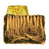 Fresh Ginseng Gift Set 5-Year-Old 750g (Approx. 13-15 Roots) 1 Pcs 750g