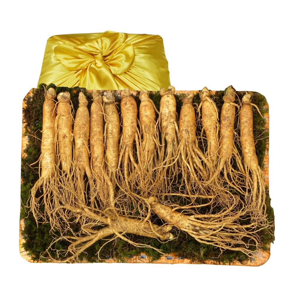 Fresh Ginseng Gift Set 5-Year-Old 750g (Approx. 13-15 Roots) 1 Pcs 750g