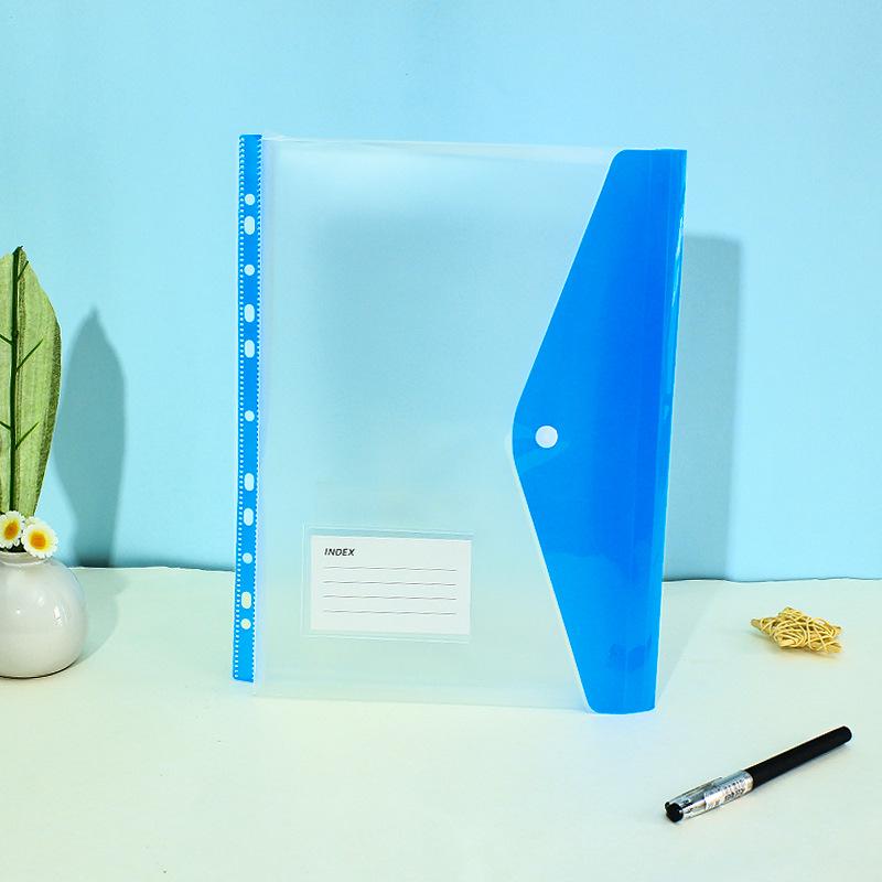 11-Hole 3D A4 Transparent Snap-Button File Bag with Card Holder - Colorful Student Document Organizer