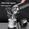 Qiwei Smart 316 Stainless Steel Tea Infuser Thermos, 500ml