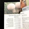 [USED] Two Mushroom Encyclopedias: "Funghi" and "Funghi Del Bosco" In Italian