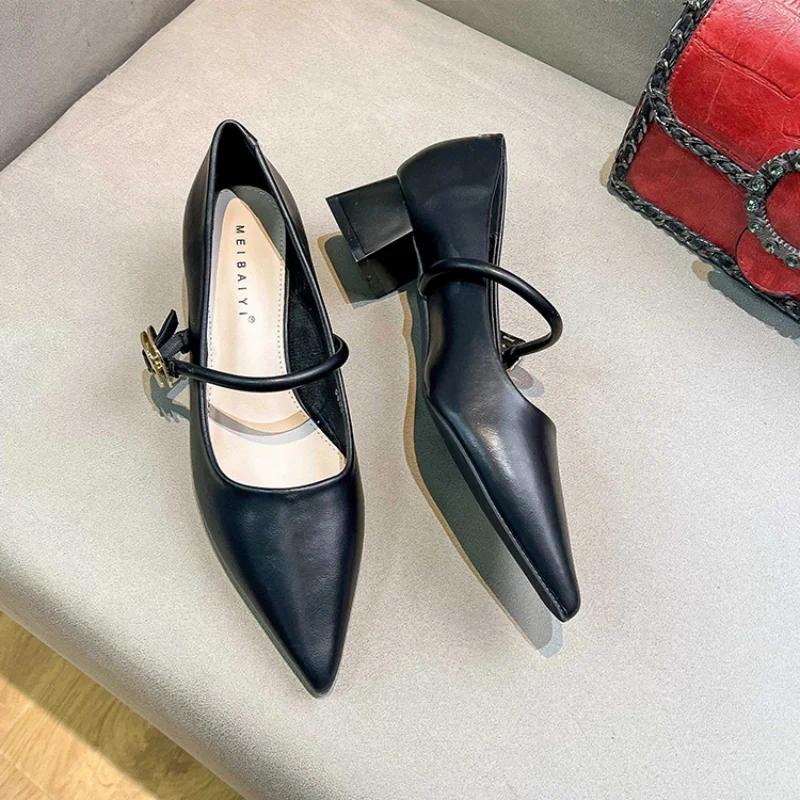 2024 Woman Elegant Summer French Pointed Toe Mary Janes Casual Chunky Heels Female Retro Shoes Low Heeled Women Shoes