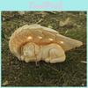 Creative Angel Dog Resin Sculpture With Illumination For Garden And Home Decor Gift