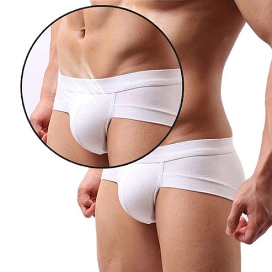 Men's Sexy Bulge Pouch Underwear Briefs Soft Elastic Modal Low Rise Underpants
