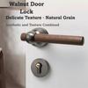 Magnetic Door Lock Aluminum Zinc Zinc Alloy Doors Handle Safety Feature Magnetic Lock  Indoor Door