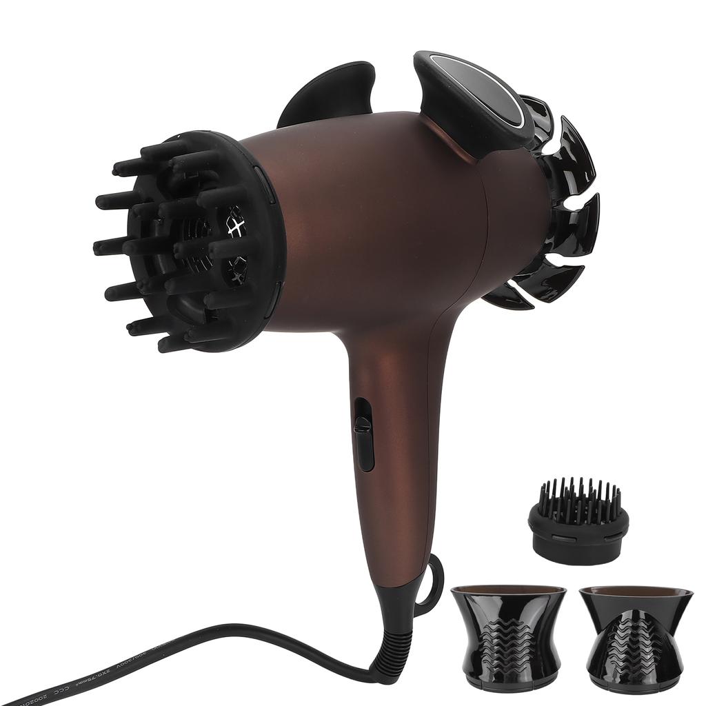 Hair Dryer Fast Drying Noise Reduction Anion Far Infrared Constant Temperature Portable Professional