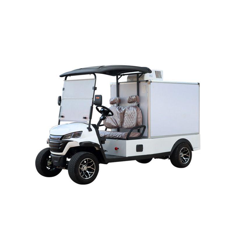 Electric Sightseeing and Delivery Van for Hotels and Campuses