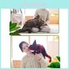 Color Changing Lizard Plush Toy Stuffed Animal Doll Funny Creative Gift Wholesale Factory Night Market