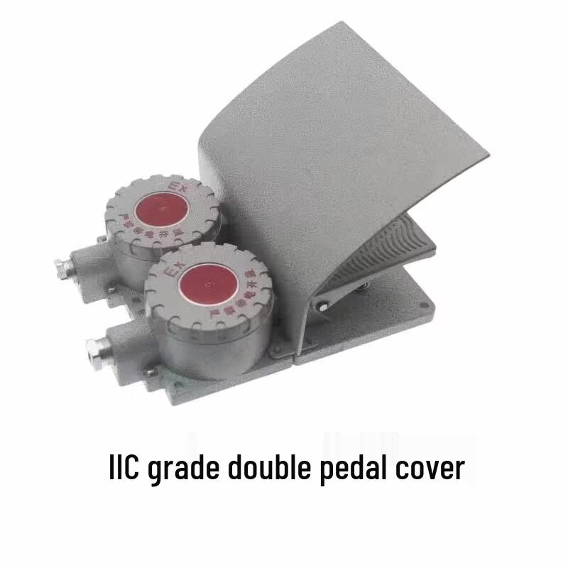 

DLXK Explosion-Proof Cast Aluminum Foot Pedal Switch