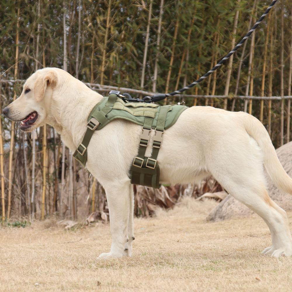 Big Dog Tactical Vest Outdoor Waterproof Dog Chest Harness Medium and Large Dog Tactical Chest Back Dog Training Cchest and Back