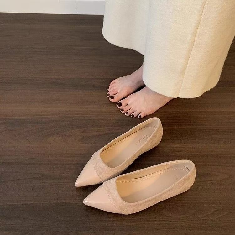With Skirt Single Shoes French Xiaoxiang Temperament Pointed Shoes 2025 Summer New Foreign Style Gentle Flat Fairy Shoes