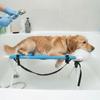 Gatos – Productos de aseo para gatos