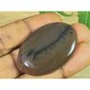 31X44X05MM Natural Honey Dendrite Oval Shape Cabochon Loose Gemstone 67Cts. SK-3471