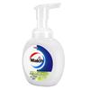 Walch Foaming Antibacterial Hand Wash, Lime Fruit Scent, 300ml X 4 Pack