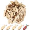 50pcs/lot Unfinished Wood Fish Shapes Blank Cutout Slices Pieces Tags Signs Embellishments for DIY Painting Crafts Hanging Decor