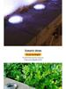 Solar LED Stainless Steel Underground Light for Outdoor Garden, Lawn, Courtyard, Rainproof.
