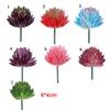2pcs Colorful Fake Plant Plastics Artificial Flower Artistic Echeveria Chihuahuaensis  Home Decor
