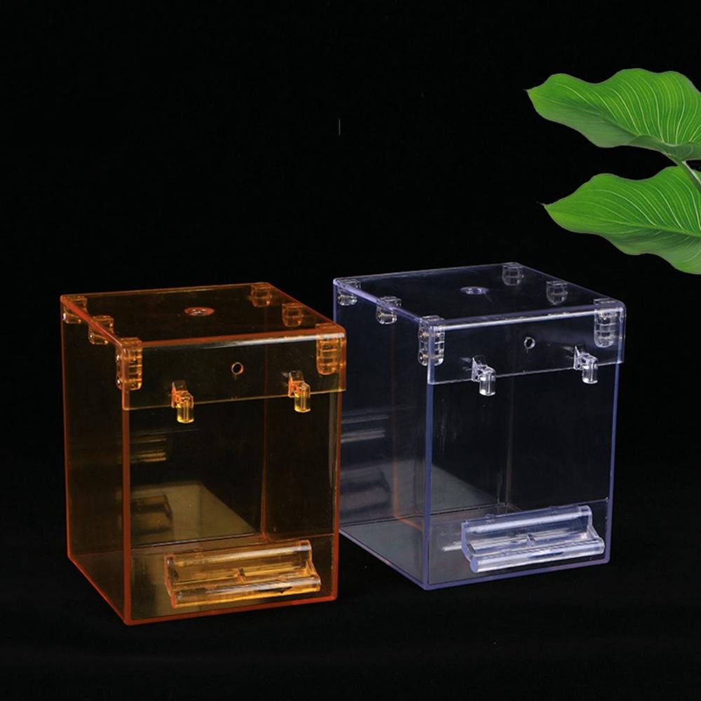 Hanging No-Leakage Shower Transparent Parrot Bathtub Bathing Box Birdbath Bird Bath for Cage