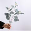 Nordic Style Fake Flower Decoration Simulation Eucalyptus Money Leaf Branch Eucalyptus Leaf Flower Arrangement Green Plant Floral Ornament