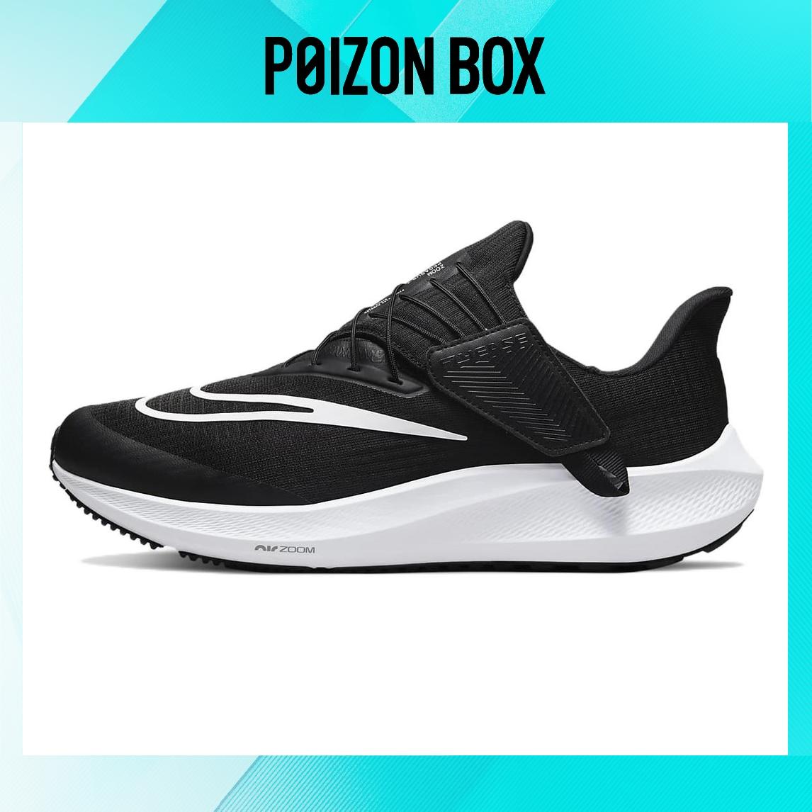 

кроссовки Nike Pegasus FlyEase Running shoes Men DJ7382-001