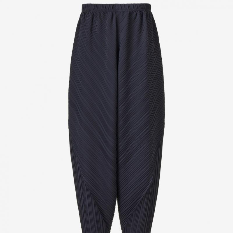 Pleats Me Pleated Baggy Pants Eppts326004