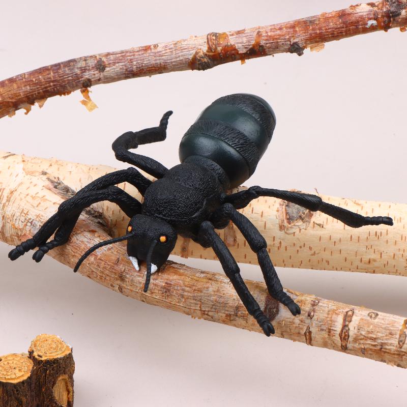 17Cm Realistic Insect Animal Model Toys Ant Spider Scorpion Beetle Dragonfly Simulation Figures For Kid Educational Learning Toy