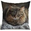 1Pc Long-Haired Tabby Cat Lazy Printed Throw Pillow Cover, Suitable For Sofa, Bedroom, Living Room, Healing Gift For Cat Lovers.