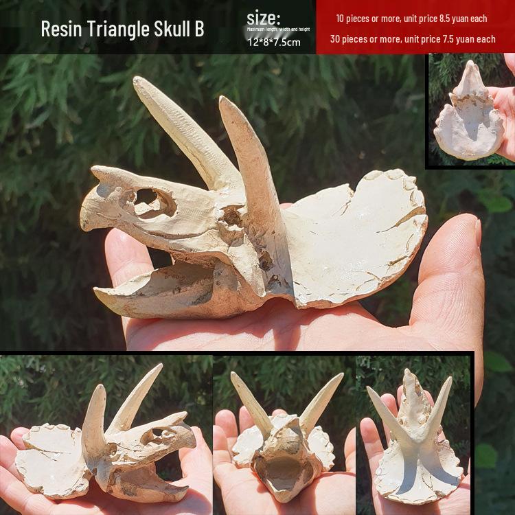 Akril Hüllőtenyésztő Doboz Dekoratív Koponyával