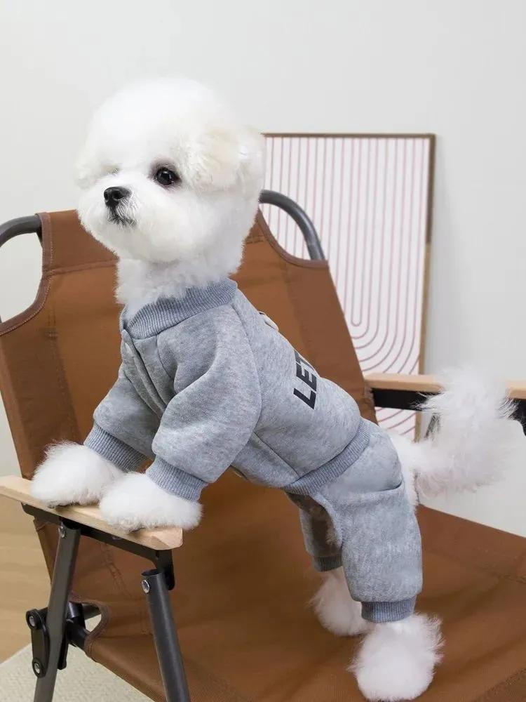 Small dog jumpsuit with leash ring, let's go, grey, M