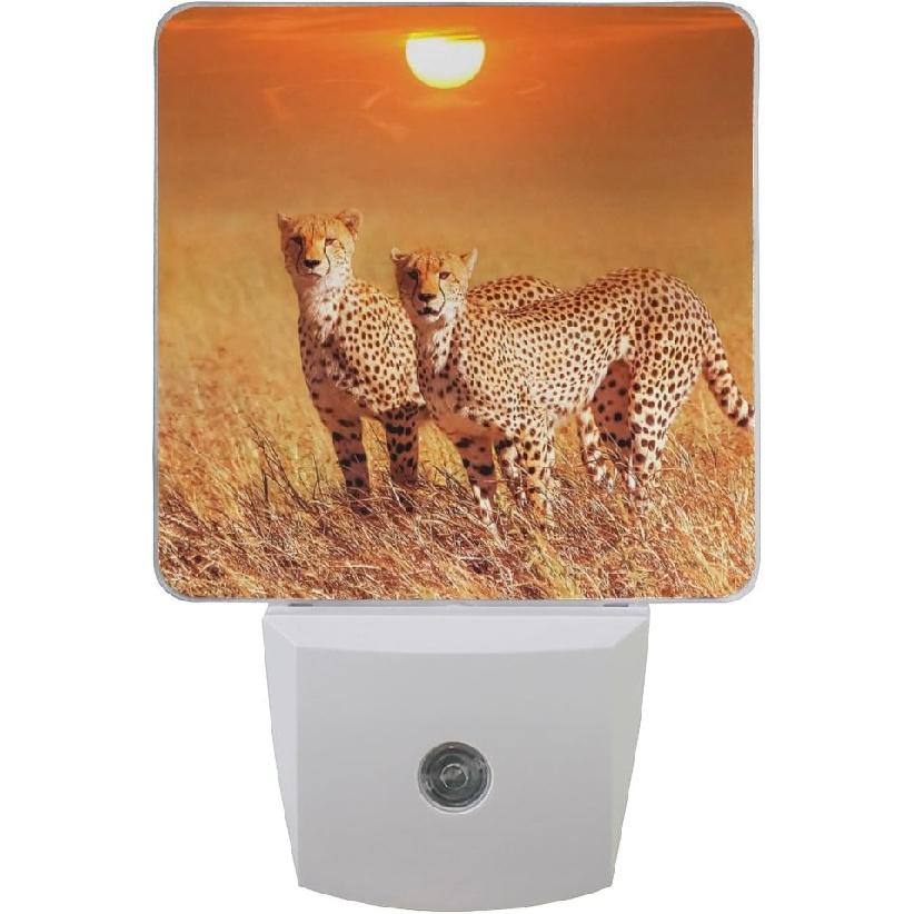 Plug-in LED Night Light Lamp Two Cheetahs Printing with Dusk To Dawn Sensor for Bedroom, Bathroom, Hallway, Stairways, 2 Pack-0.5W