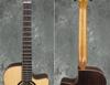 MORRIS Daisuke Minamizawa Signature Model Acoustic Guitar S-101M