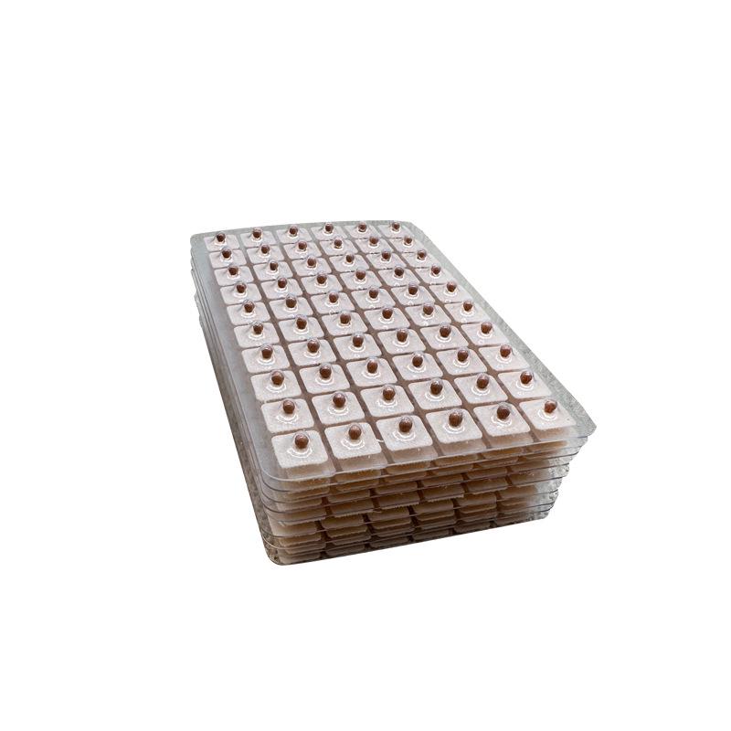 Bianstone Ear Acupressure Patches with Red Granules - 600 Pieces