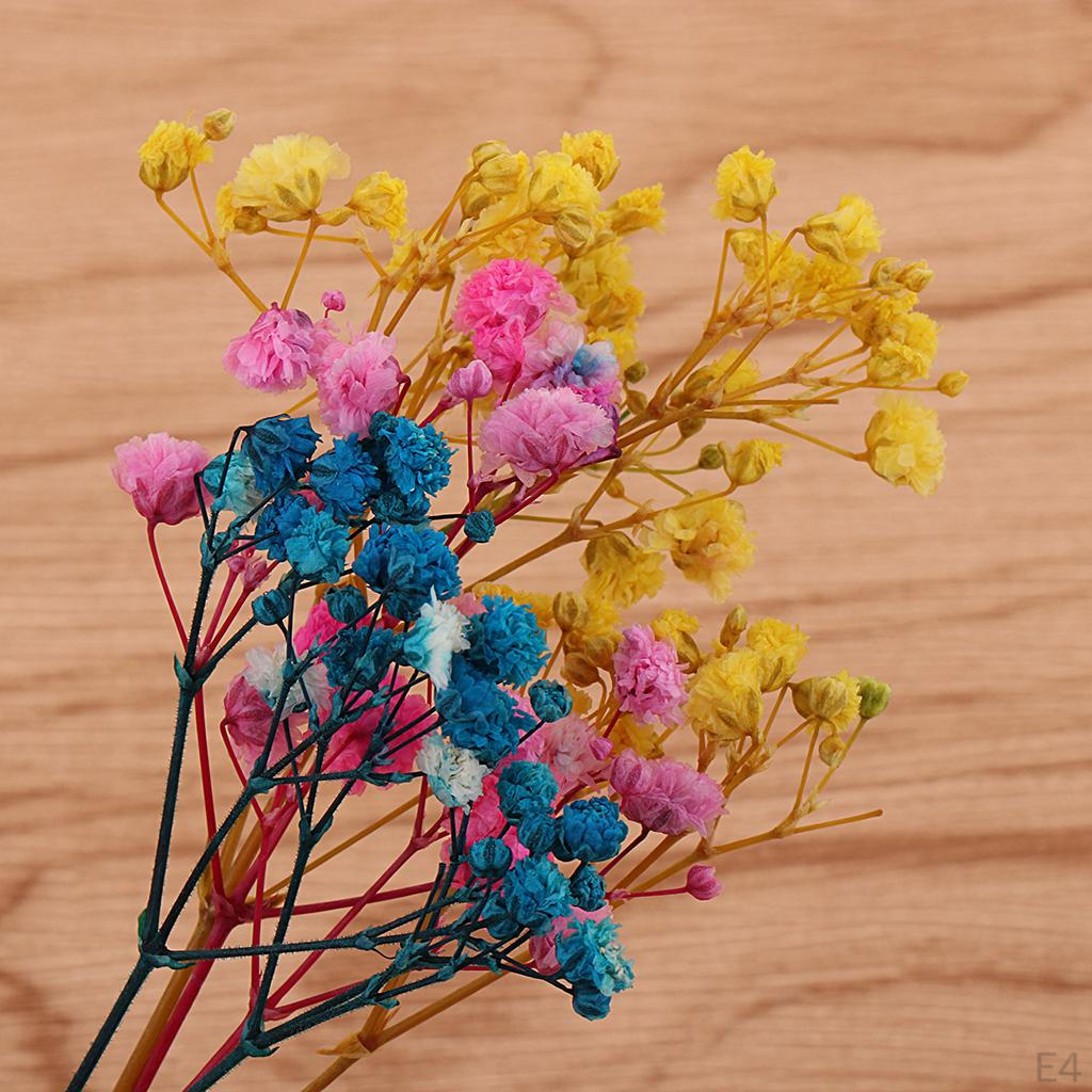 Getrocknet für Bouquet, Accessoires,