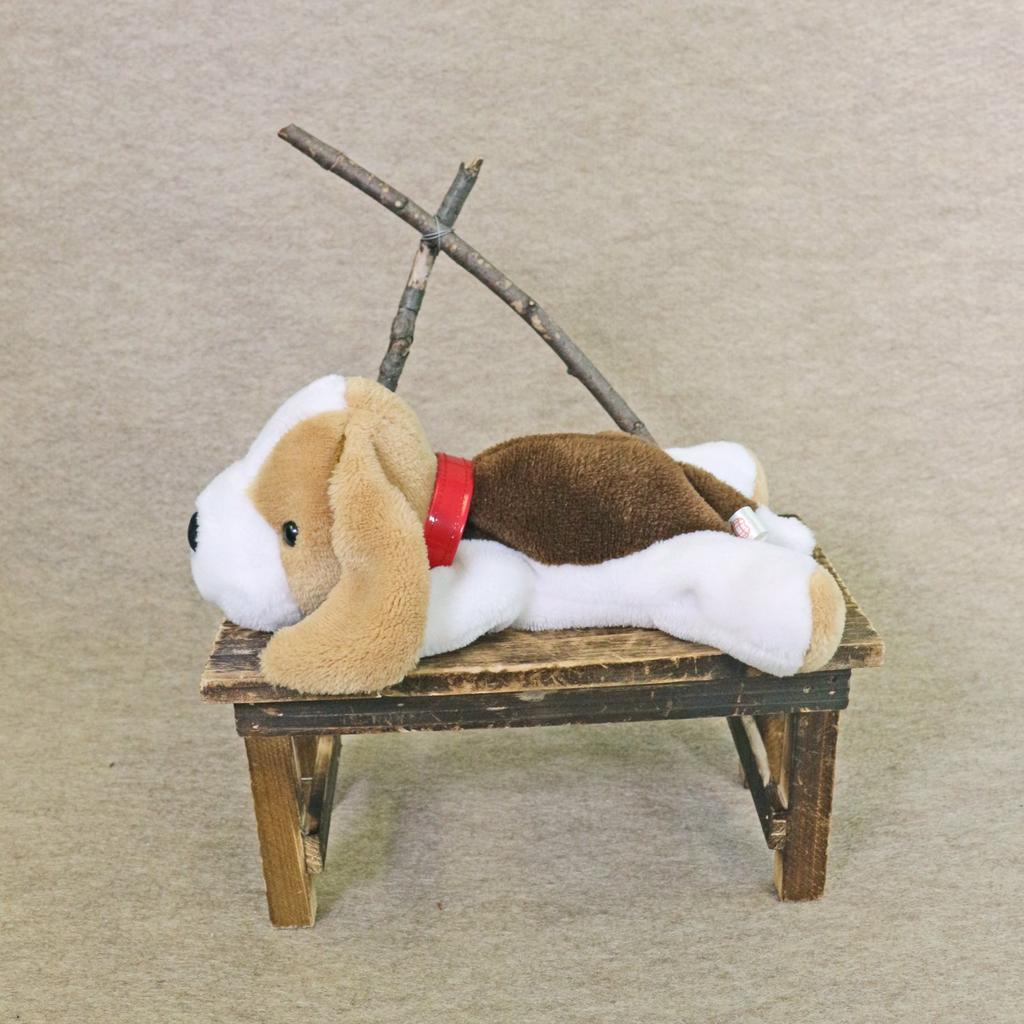 Lazy Party Dog (M) Basset Hound