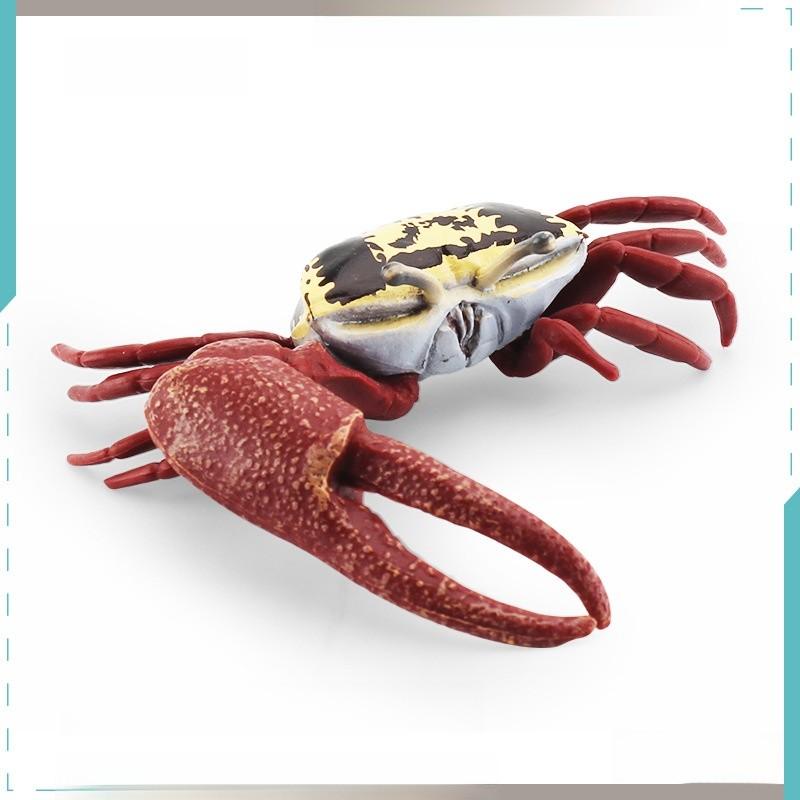 Pvc Fiddler Crab Collection Model Marine Animal Figurine For Aquarium Display And Gift