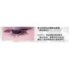 SHEDELLA - Eyeshadow Palette - InspireArt