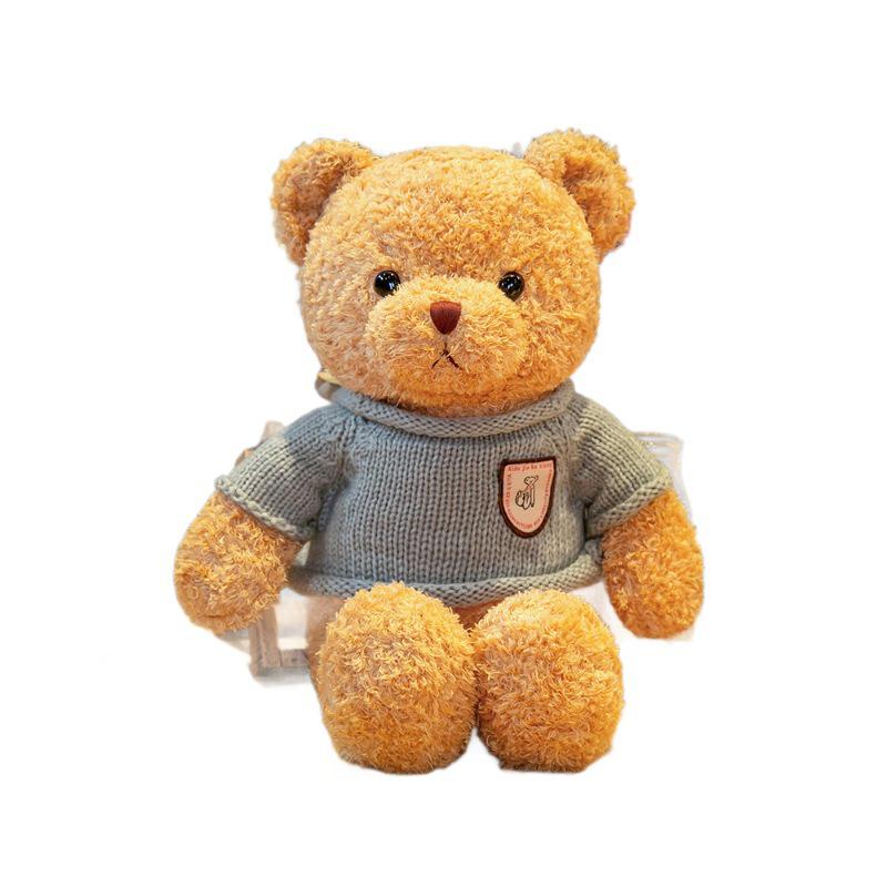 Teddy Bear Plush Hoodie Doll - Cute Activity Gift with Logo Print