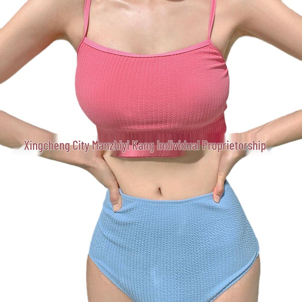 Women's Solid Color High Waist Bikini with Flesh-Covering Panel, Slimming Design, Pure Desire Style, and Color Block for Small Chest