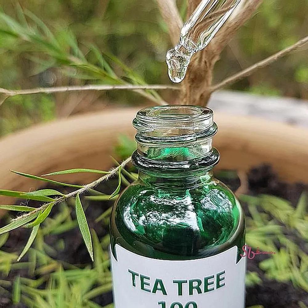 Tea Tree Oil Tea Tree Leaf Extract Spot 100 Essential Face Care Scalp cde989