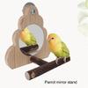 Parrots Playstand Climbing Play Ladder Macaws Play Gym Grinding Ground Stand for Cage Exercise and Amusement