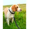 Reflective Dog Leash - Soft Padded Handle for Comfortable Training and Walking - Ideal for Medium and Small Dogs - High Visibili