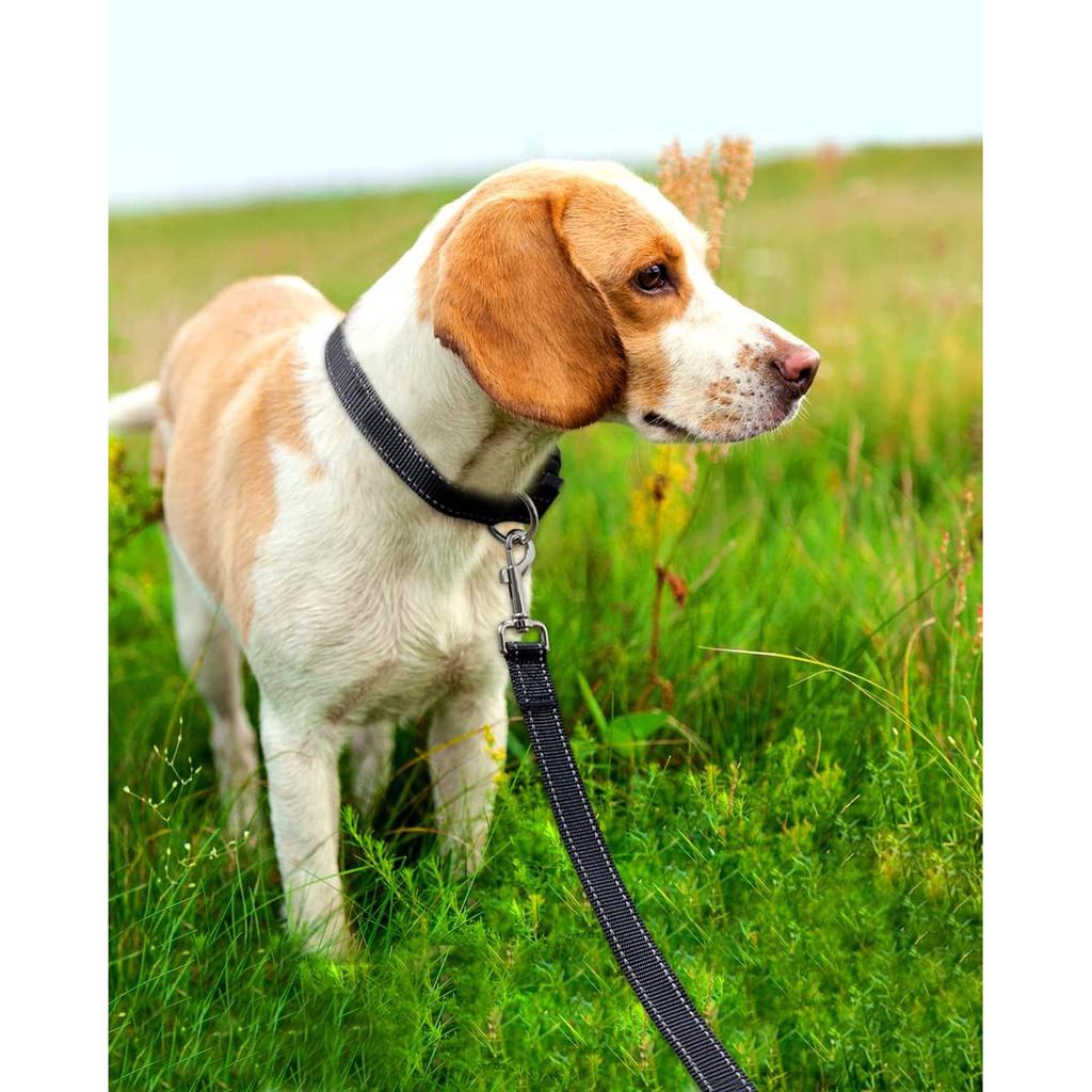 Reflective Dog Leash - Soft Padded Handle for Comfortable Training and Walking - Ideal for Medium and Small Dogs - High Visibili