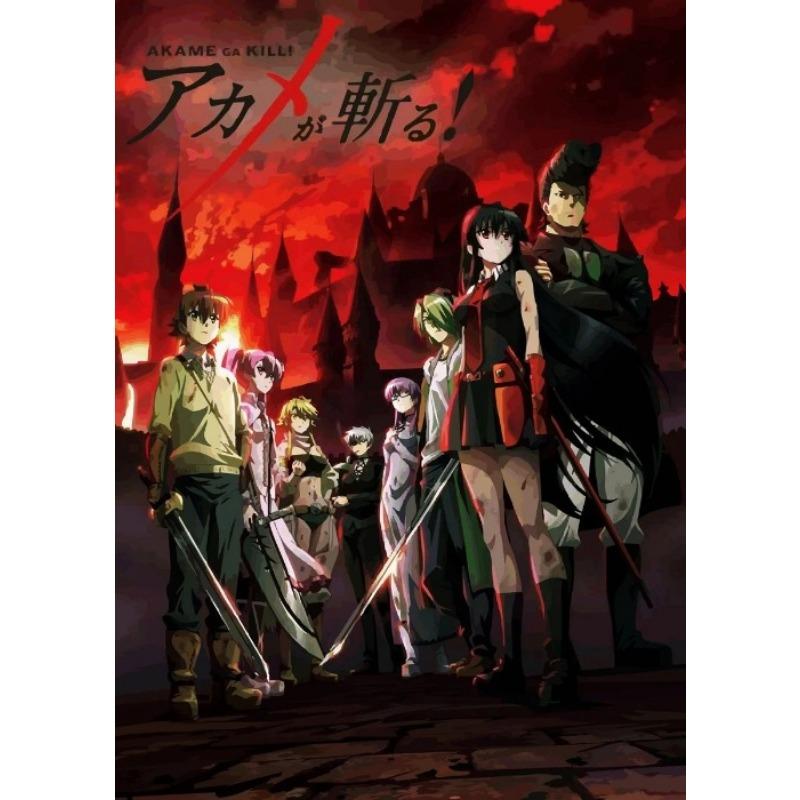 

Японское Аниме Akame Ga Kill Акаме Постер Аниме Персонаж Декор Стен Холст Принт Украшение для Игровой Комнаты Домашнее Настенное Искусство Картина 21cm×30cm NoFrame