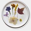 Natural Pressed Dried Flower For Epoxy Resin Dry Flowers and Leaves Set for Soap Candle Jewelry Making Scrapbooking