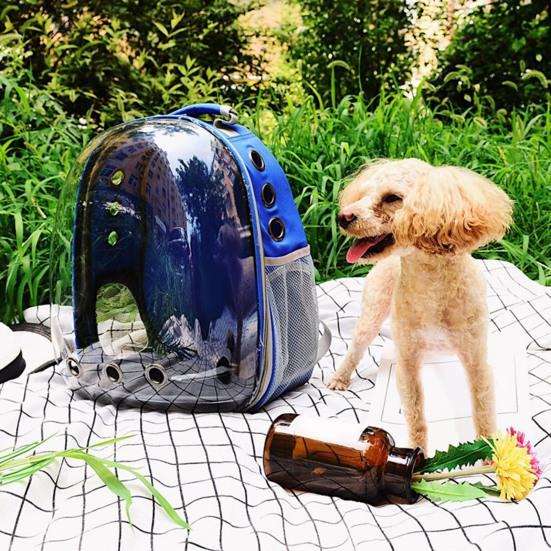 Haustier-Tragerucksack, atmungsaktiv, Katzen-Luftpolster-Rucksack für kleine und mittelgroße Katzen und Welpen, tragbare Haustier-Raumkapsel für Reisen, Wandern, Spazierengehen und Camping