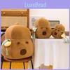 Cartoon Gourd Cute Shaped Water Capybara Plush Toy Pillow For Sofa Decoration