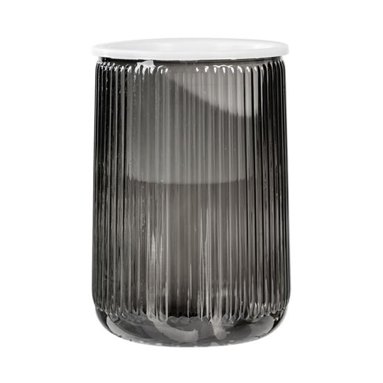 Self Watering Plant Pot Clear Plastic Flower Pot with Wick Ropes Water Reservoir Vertical Stripes Design Modern Indoor Planter for Pothos Anthurium