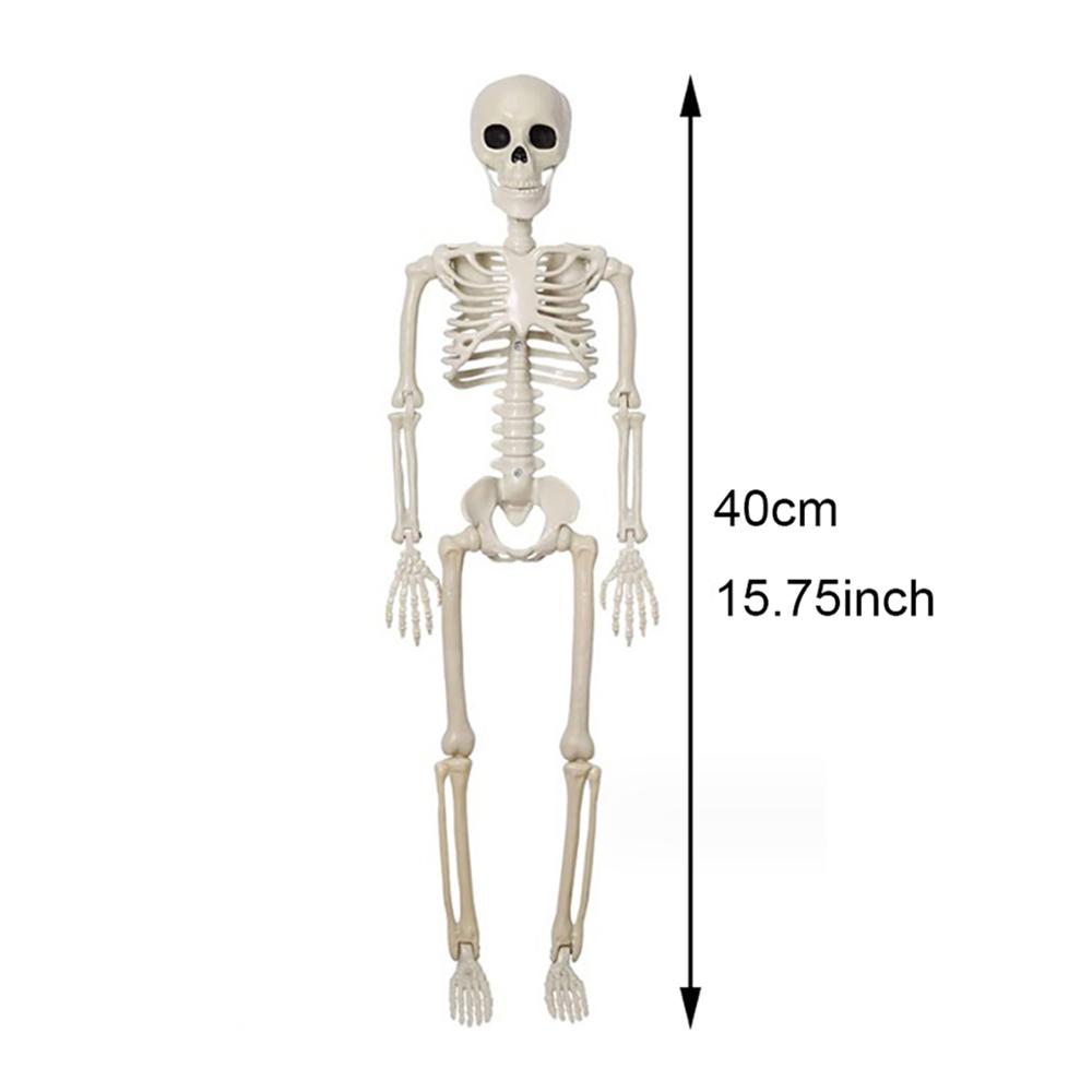 Halloween Decorations Skeleton,Posable Human Shape Skeleton,Halloween Fake Bone Horror Decoration 40cm